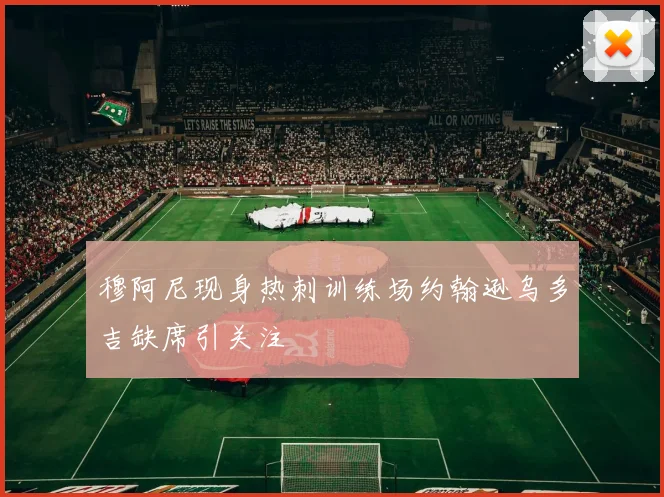 穆阿尼现身热刺训练场约翰逊乌多吉缺席引关注
