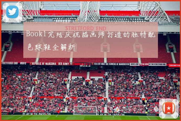 Book1完结庆祝插画师打造的独特配色球鞋全解析
